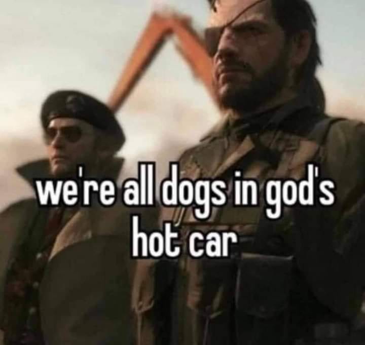 This meme is a humorous image featuring a screenshot from a video game, with a quote overlaid on top. The text "we're all dogs in god's hot car" is written in a playful, casual font, suggesting a lighthearted and humorous tone. The quote is likely meant to be humorous and relatable, poking fun at the idea that we're all just struggling to survive in a chaotic, unpredictable world.